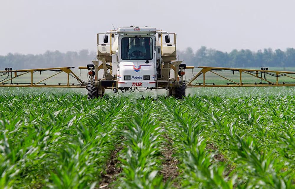 Illinois corn farmer Jerry McCulley sprays glyphosate across his cornfield in Auburn, June 1, 2010.  (Seth Perlman/AP)