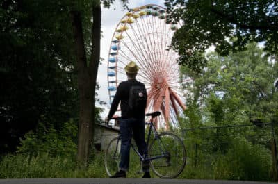 A man looks at a Ferris wheel in Berlin as he stands with his bicycle outside the fence of the former amusement park Spreepark. (Odd Andersen/AFP/Getty Images)
