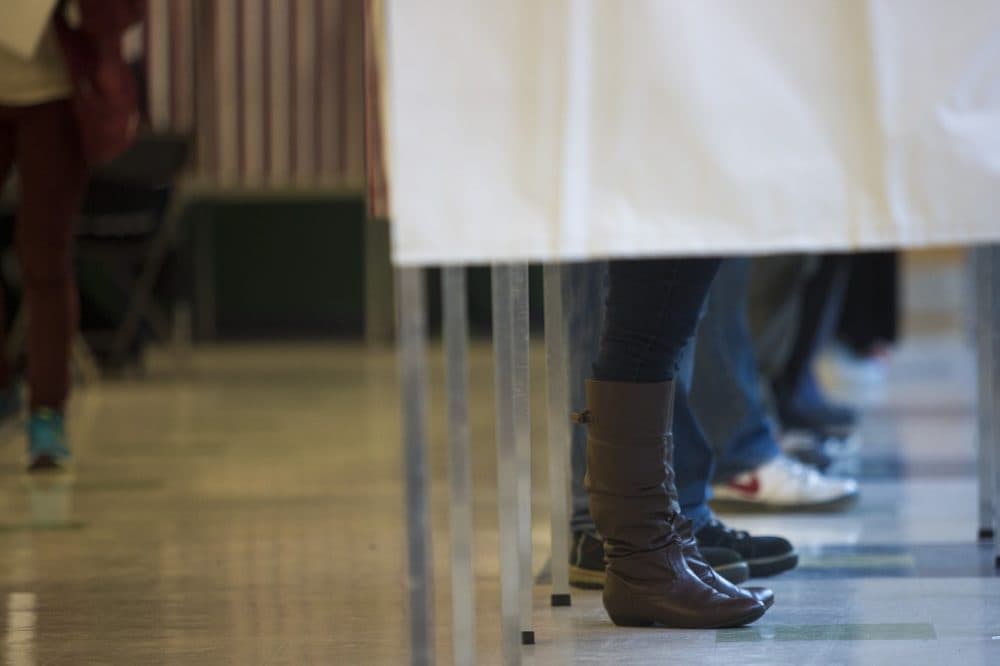 Voters in ballot booths (Jesse Costa/WBUR)