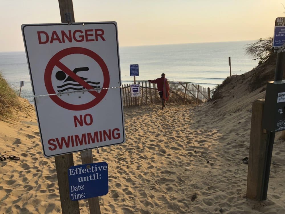 Authorities closed Long Nook Beach in Truro to swimmers after a man was attacked by a shark on Wednesday — the first attack on a person in Massachusetts since 2012. The victim survived the attack and was airlifted to a Boston hospital. (William J. Kole/AP)