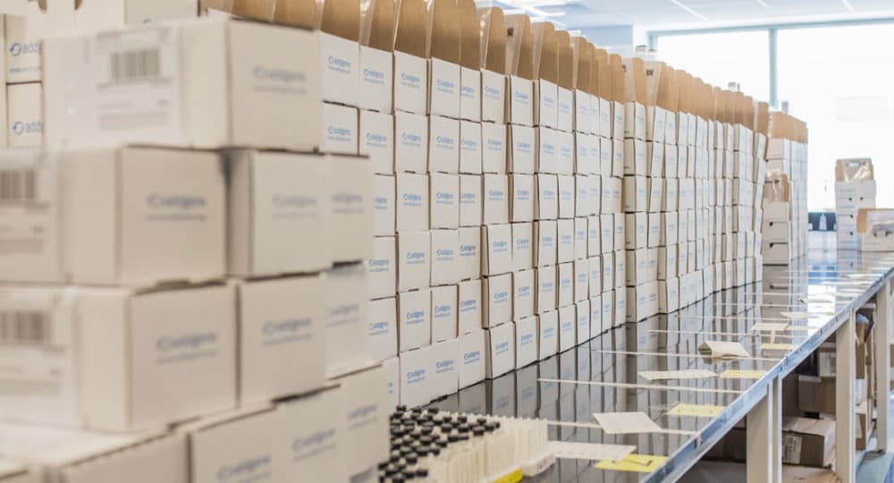 Addgene packages of plasmids ready to ship to scientists around the world. (Courtesy)