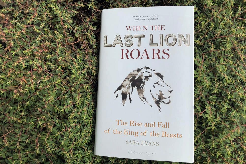 &quot;When The Last Lion Roars,&quot; by Sara Evans. (Alex Schroeder/On Point)