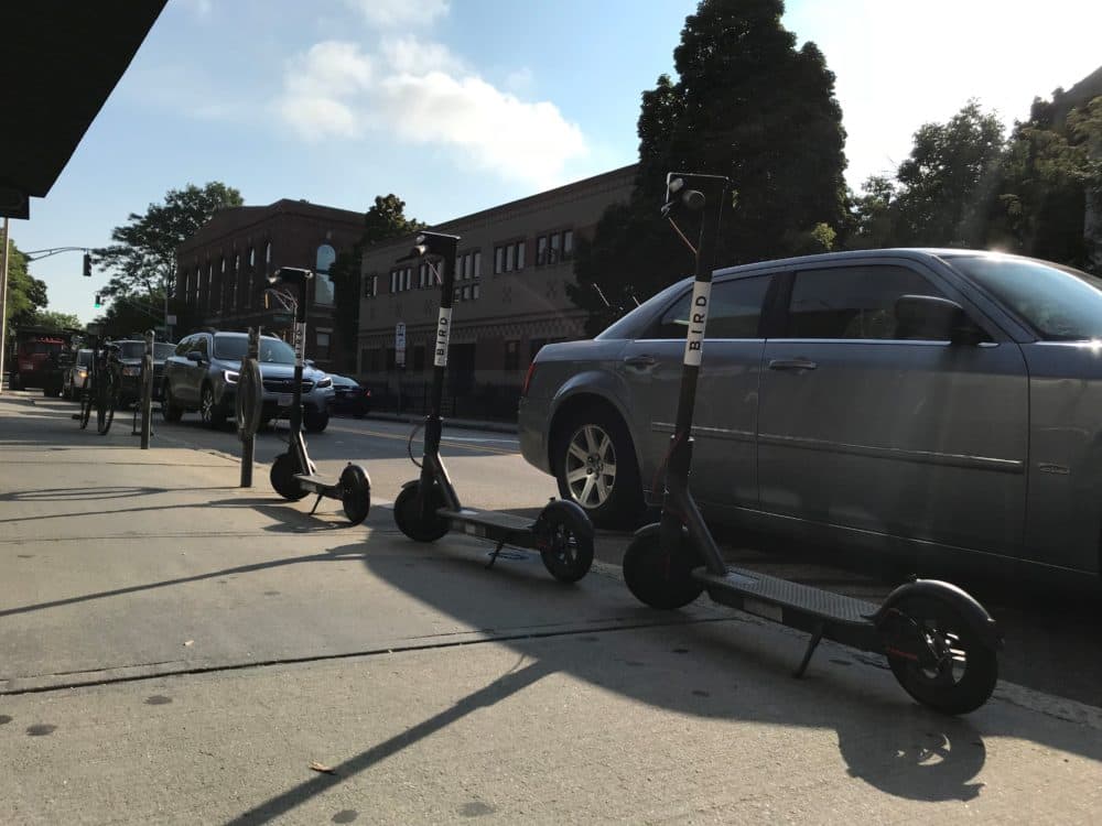 Bird scooters were available to rent in Cambridge last month, until the company pulled out because of a citywide ban. Now Cambridge is working toward a pilot program that would allow scooter companies to operate legally. (Callum Borchers/WBUR)