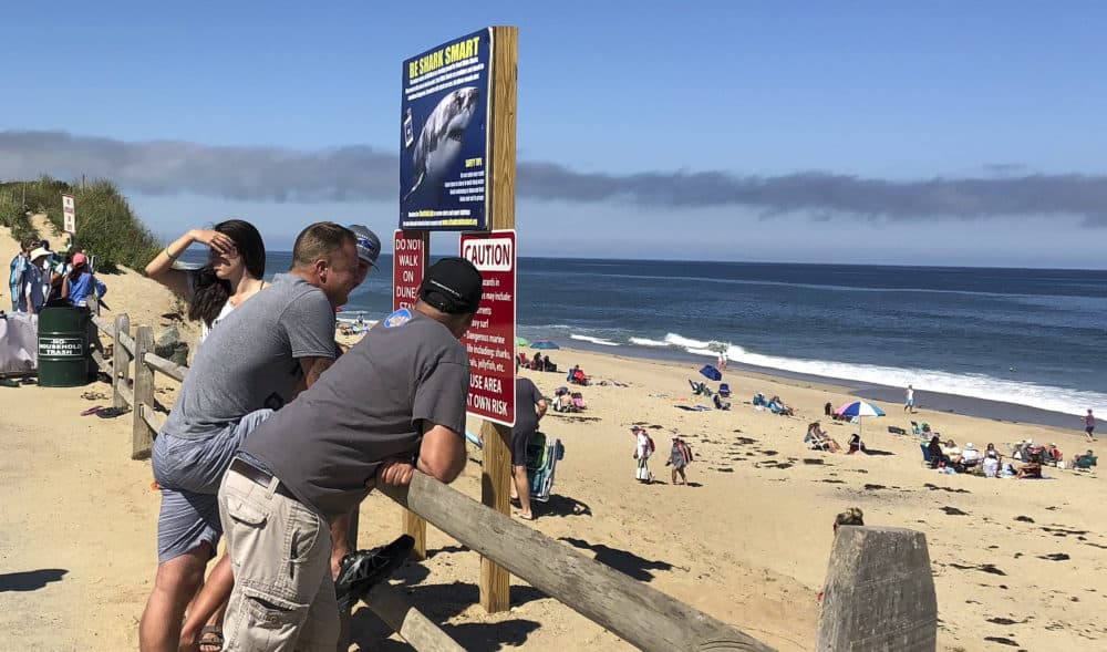People look out at the shore after a reported shark attack at Newcomb Hollow Beach in Wellfleet on Saturday. (Susan Haigh/AP)