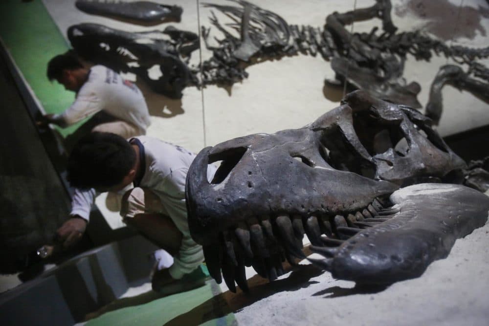 In this Tuesday, Jan. 21, 2014 photo, workers putt on the final touches around the exhibit of a Tarbosaurus bataar found in Mongolia, in preparations for an exhibition titled &quot;Dinosaurs: Dawn to Extinction&quot; at the Art Science Museum, in Singapore. The exhibition takes visitors back more than 600 million years back in time to a world of terrestrial reptiles. (AP Photo/Wong Maye-E)