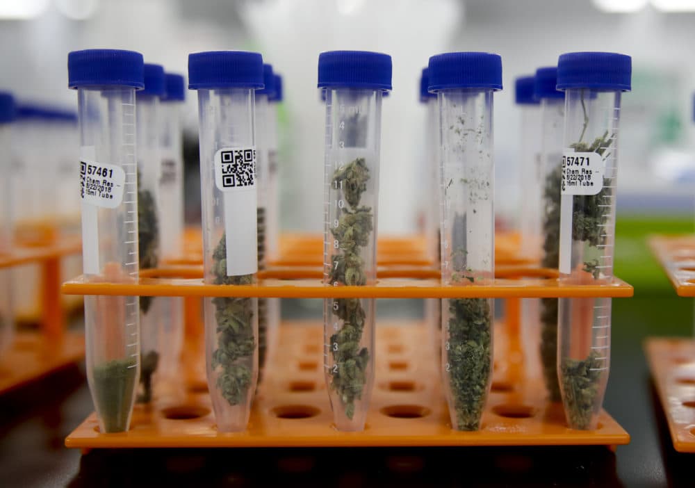 Marijuana samples are organized at Cannalysis, a cannabis testing laboratory, in Santa Ana, Calif., in August. (Chris Carlson/AP)
