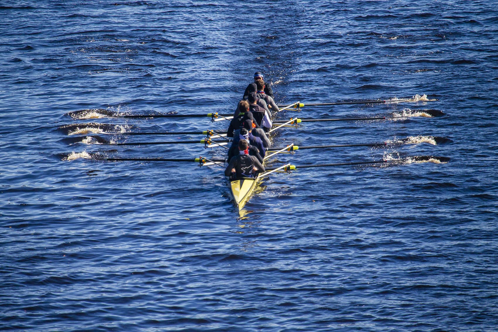 Rowers train on the Charles River two days before the Head of the Charles Regatta. (Jesse Costa/WBUR)