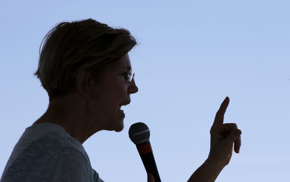 Sen. Elizabeth Warren, D-Mass., addresses an audience at Belkin Family Lookout Farm during a town hall event, Sunday, July 8, 2018, in Natick, Mass. (Steven Senne/AP)