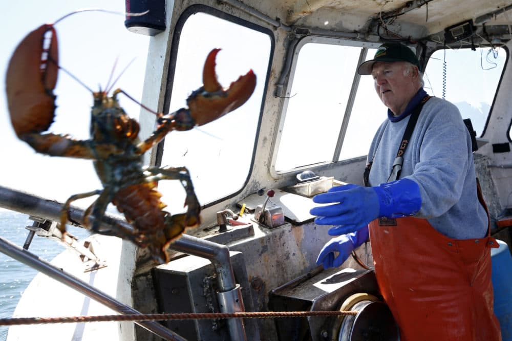 In this April 27, 2016 photo, Richard Sawyer, Jr., left, tosses back an undersized lobster who fishing on Long Island Sound off Groton, Conn. Sawyer, a third-generation lobsterman, fears there won't be enough lobster for his sons and grandsons to work as fishermen. (AP Photo/Robert F. Bukaty)