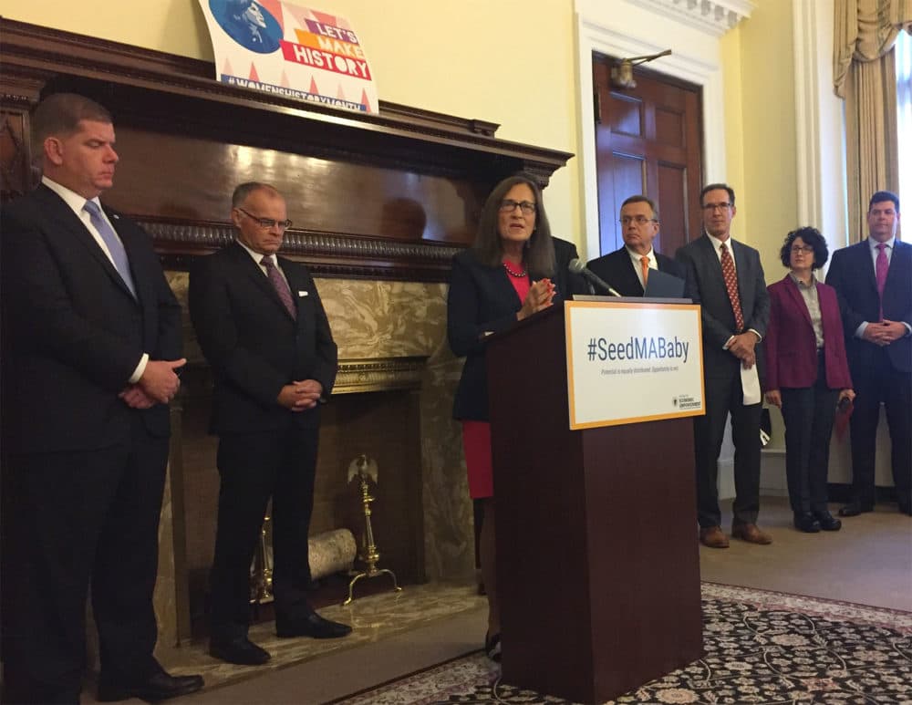 Treasurer Deb Goldberg announces the SeedMA Baby program Tuesday at the State House. (Carrie Jung/WBUR)