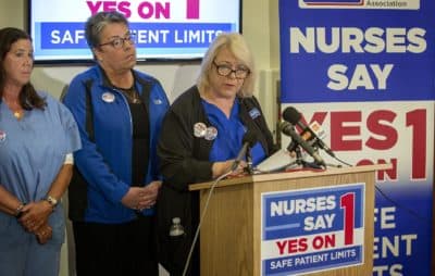 Donna Kelly-Williams of the Massachusetts Nurses Association makes a statement on Election Night, conceding ballot Question 1 on patient-to-nurse ratios. (Robin Lubbock/WBUR)