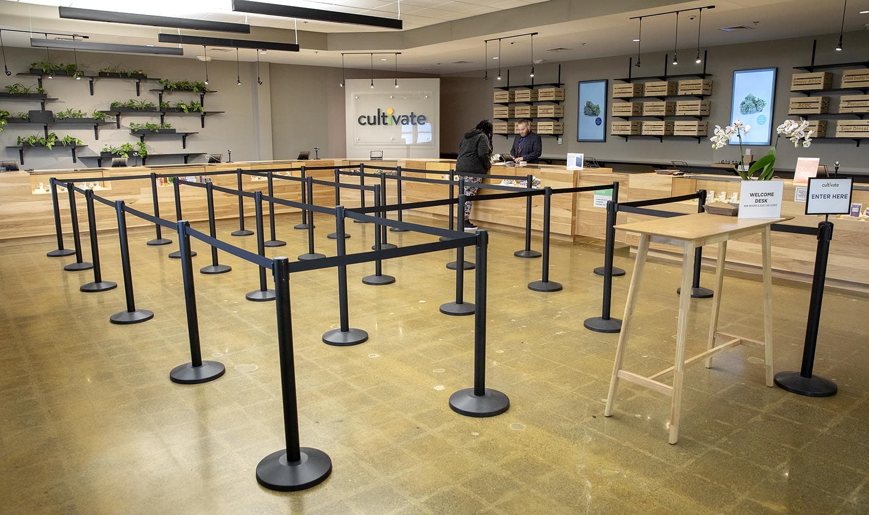 A look inside Cultivate, in Leicester, which will open to recreational marijuana sales (Robin Lubbock/WBUR)