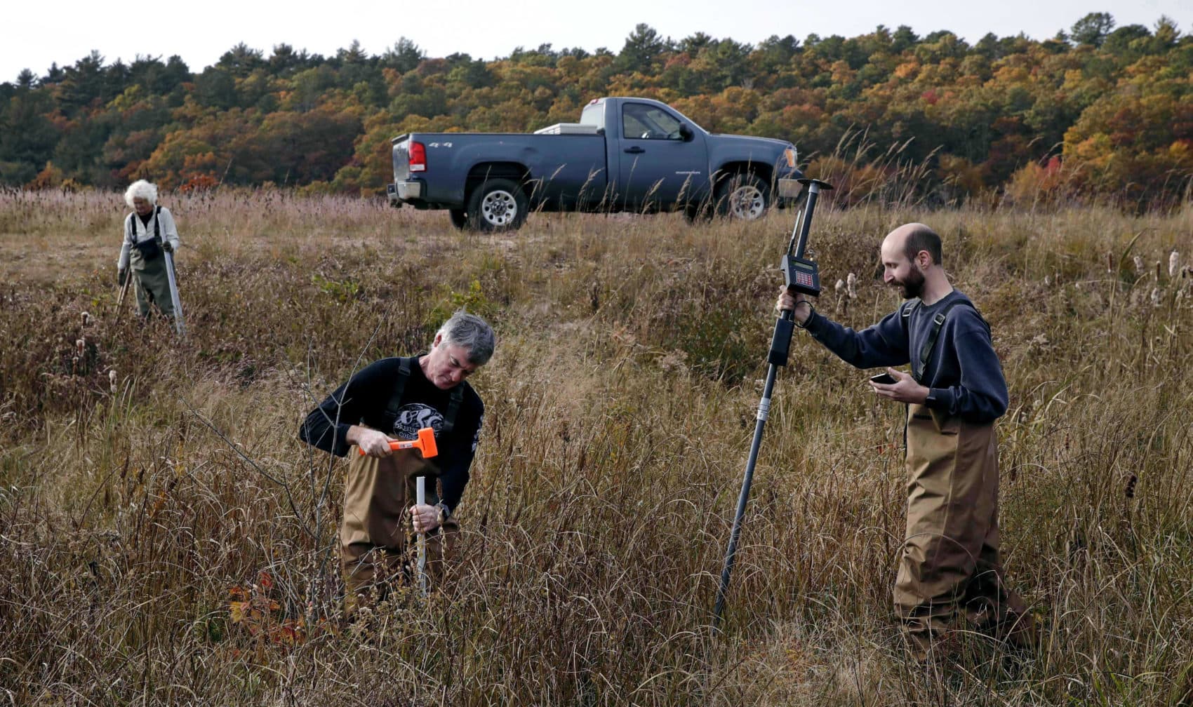 In this Thursday Nov. 1, 2018 photo, Joe Paradiso, Director of the Responsive Environment group at the MIT Media Lab, center, drives a support post for a sensor unit as Brian Mayton, a research assistant at the Responsive Environment group, right, prepares to map the device's global position at a marshland in Plymouth, Mass., which is equipped with wireless sensors, cameras and microphones to create a virtual reality world inspired by nature's rhythms. Researchers at the Massachusetts Institute of Technology hope that by live-streaming data, sights and sounds at the Tidmarsh Wildlife Sanctuary, they can help scientists understand wildlife restoration techniques and let other virtual visitors experience nature remotely. At rear left is Glorianna Davenport, president of the Living Observatory and co-founder of the MIT Media Lab. (Charles Krupa/AP)
