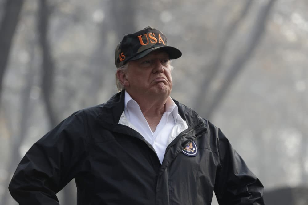 President Donald Trump visits a neighborhood impacted by the wildfires, Saturday, Nov. 17, 2018, in Paradise, Calif. (Evan Vucci/AP)