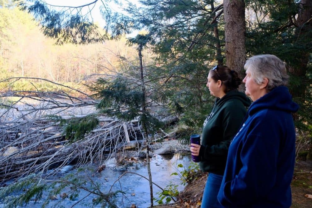 Chelsie Lent and Carole Clarke are co-owners of Scenic View Campground in Warren, NH. The Baker River, which runs along the back of their property, has flooded multiple times in recent years.
(Britta Greene/New Hampshire Public Radio)