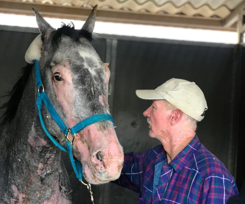 Joe Herrick was severely burned trying to save a favorite filly, named Lovely Finish, from the Lilac Fire in December 2017. Over the course of a year, they helped each other heal. (Courtesy of Joe Herrick)