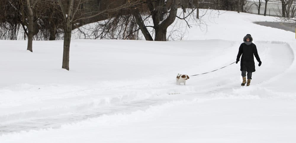 Carol Poh walks with her dog, Lucas, on a four mile walk in the bitter cold Tuesday, Feb. 1, 2011, in Cleveland. (Tony Dejak/AP)