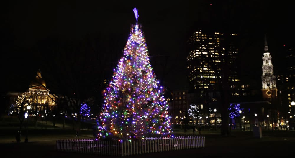 A Christmas tree stands illuminated on Boston Common, down Beacon Hill from the Statehouse, in Boston, Wednesday, Dec. 5, 2018. (AP Photo/Charles Krupa)