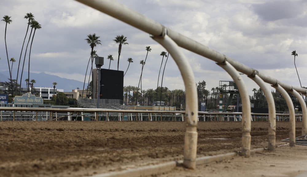 The home stretch race track is empty at Santa Anita Park in Arcadia, Calif., Thursday, March 7, 2019. (Damian Dovarganes/AP)