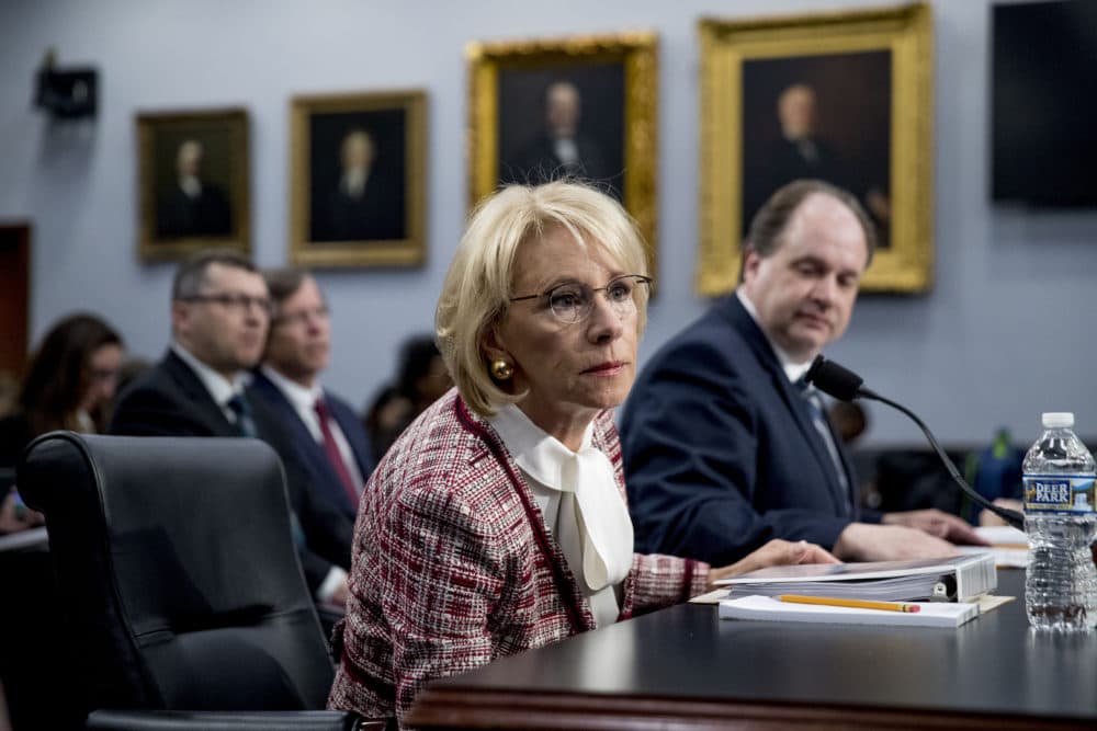 Education Secretary Betsy DeVos at a House Appropriations subcommittee hearing on budget on Capitol Hill in Washington, Tuesday, March 26, 2019. (Andrew Harnik/AP)