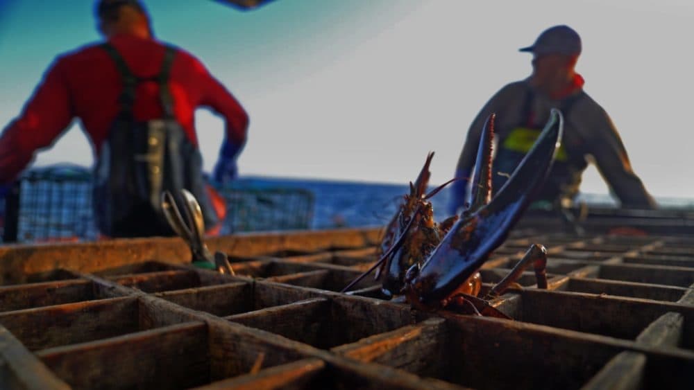 Still from &quot;Lobster War: The Fight Over the World’s Richest Fishing Grounds.&quot;