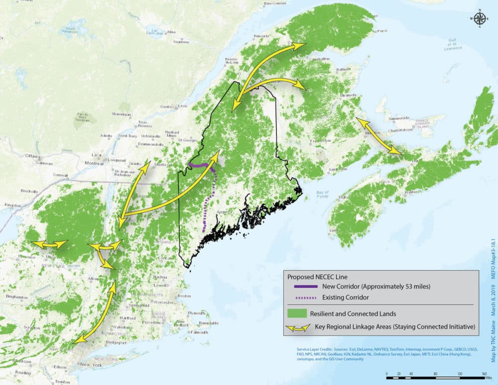 This handout map from The Nature Conservancy shows the interconnectedness of the forestland in New England and Canada, and the high value of the area where Central Maine Power wants to clear-cut a transmission pathway. (Courtesy of The Nature Conservancy)