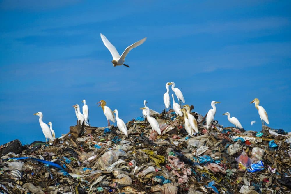 Egret birds fly over the top of a rubbish pile in a garbage center in Blang Bintang, Indonesia. (Chaideer Mahyuddin/AFP/Getty Images)