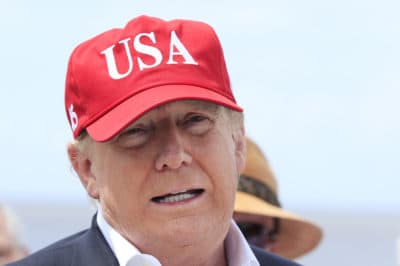 President Donald Trump speaks to reporters during a visit to Lake Okeechobee and Herbert Hoover Dike at Canal Point, Fla., Friday, March 29, 2019.  (Manuel Balce Ceneta/AP)