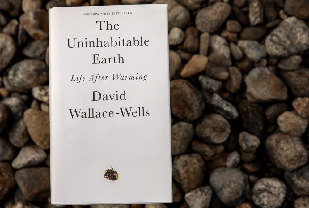 &quot;The Uninhabitable Earth: Life After Warming,&quot; by David Wallace-Wells. (Robin Lubbock/WBUR)