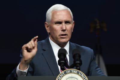 Vice President Mike Pence speaks at the SATELLITE Conference and Exhibition in Washington, Monday, May 6, 2019. (AP Photo/Susan Walsh)