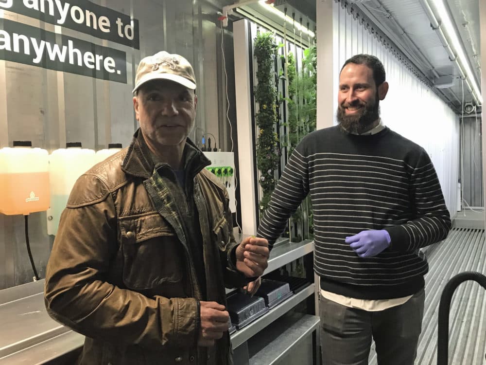 Spark Capital co-founder Todd Dagres, left, samples a piece of lettuce harvested by Freight Farms co-founder Brad McNamara. (Callum Borchers/WBUR)