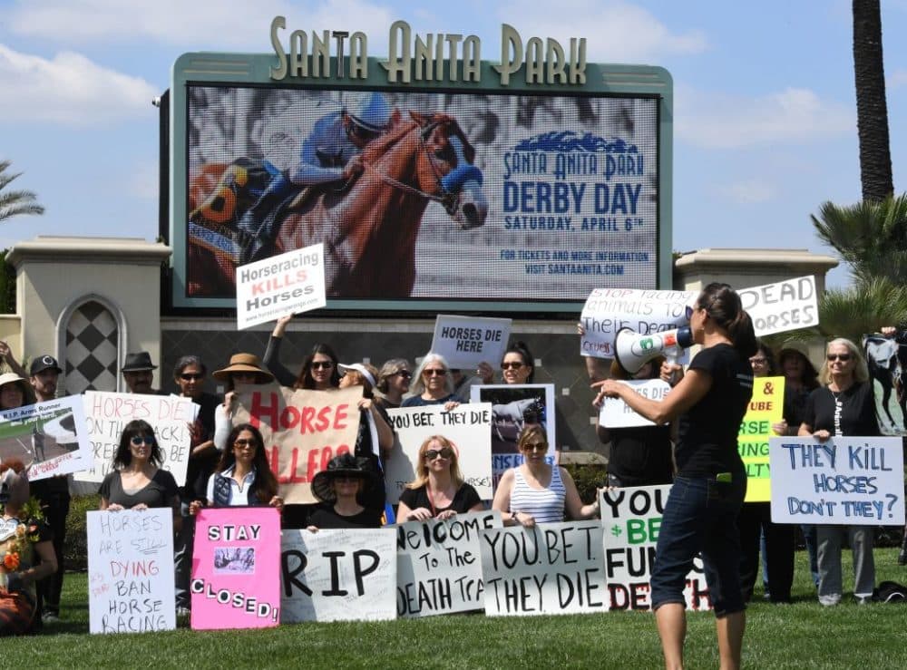 Animal rights advocates protest beside the Santa Anita entrance gate. 23 racehorses died in the first three months of racing season at Santa Anita. (Mark Ralston/AFP/Getty Images)