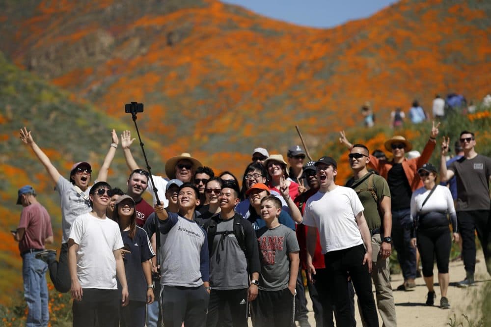 People pose for a picture among wildflowers in bloom Monday, March 18, 2019, in Lake Elsinore, Calif. (Gregory Bull/AP)