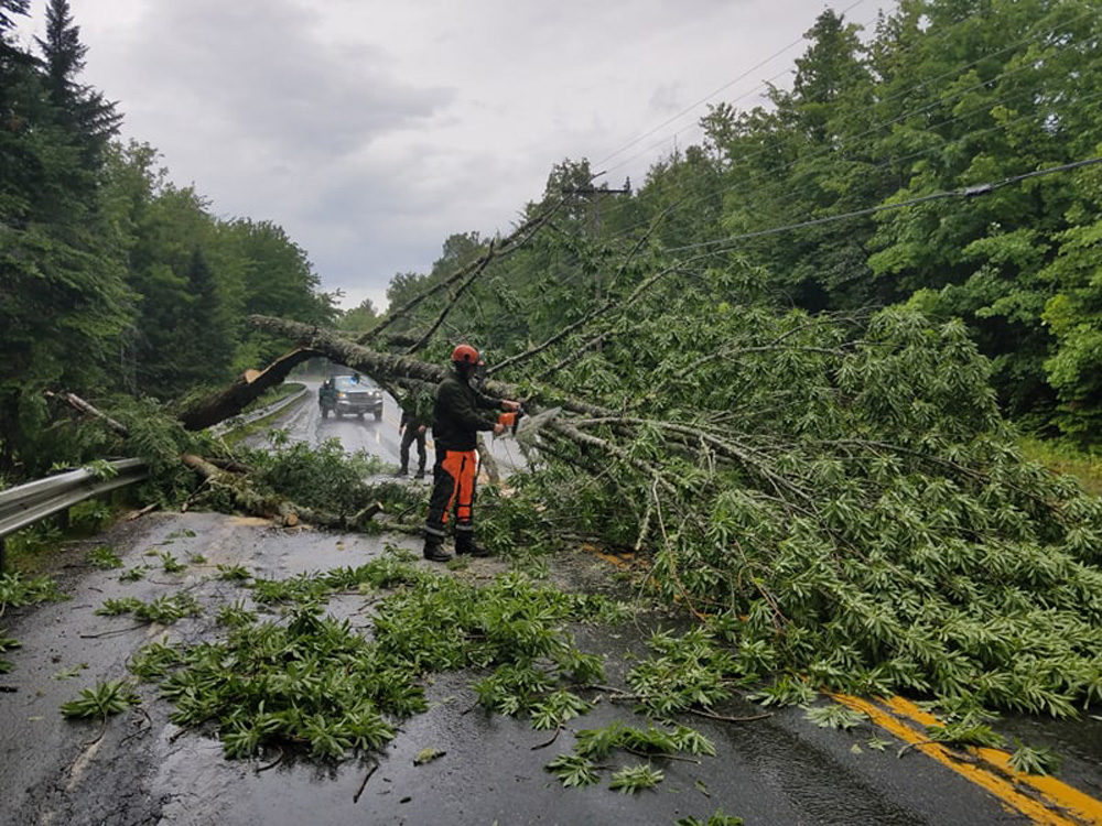 A forest ranger in Maine cleans up a tree that was downed in a thunderstorm Sunday. (Courtesy Maine Forest Rangers)