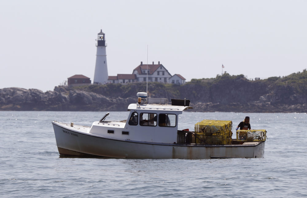 A lobsterman tends to his traps off Cape Elizabeth, Maine. The harvest of crustaceans in America’s biggest lobstering state is usually in full swing by July, but fishermen say they aren’t catching much.(Robert F. Bukaty/AP File Photo)