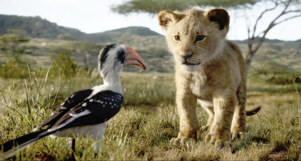 John Oliver voices Zazu and JD McCrary voices Young Simba in the live-action remake of &quot;The Lion King.&quot; (Courtesy Disney Enterprises, Inc.)