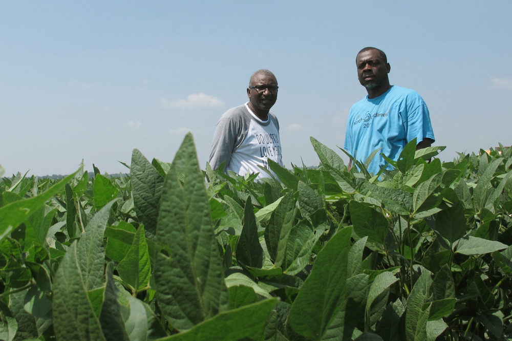 In this Wednesday, June 25, 2018 photo, David Allen Hall, left, and Tyrone Grayer pose for a photo in their soybean field, in Parchman, Miss. (Adrian Sainz/AP)
