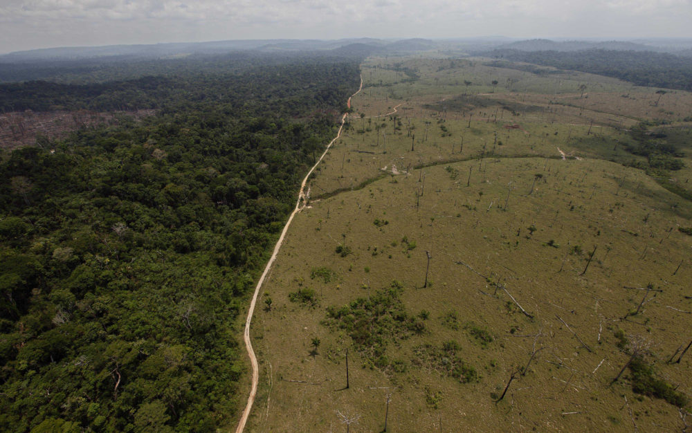 A deforested area near Novo Progresso in Brazil's northern state of Para. (Andre Penner/AP)