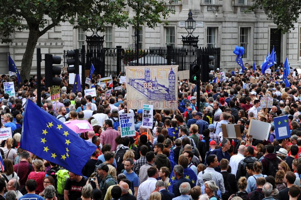 Demonstrators hold placards as they protest outside of Downing Street in London on August 28, 2019. (Daniel Sorabji/Getty Images) 
