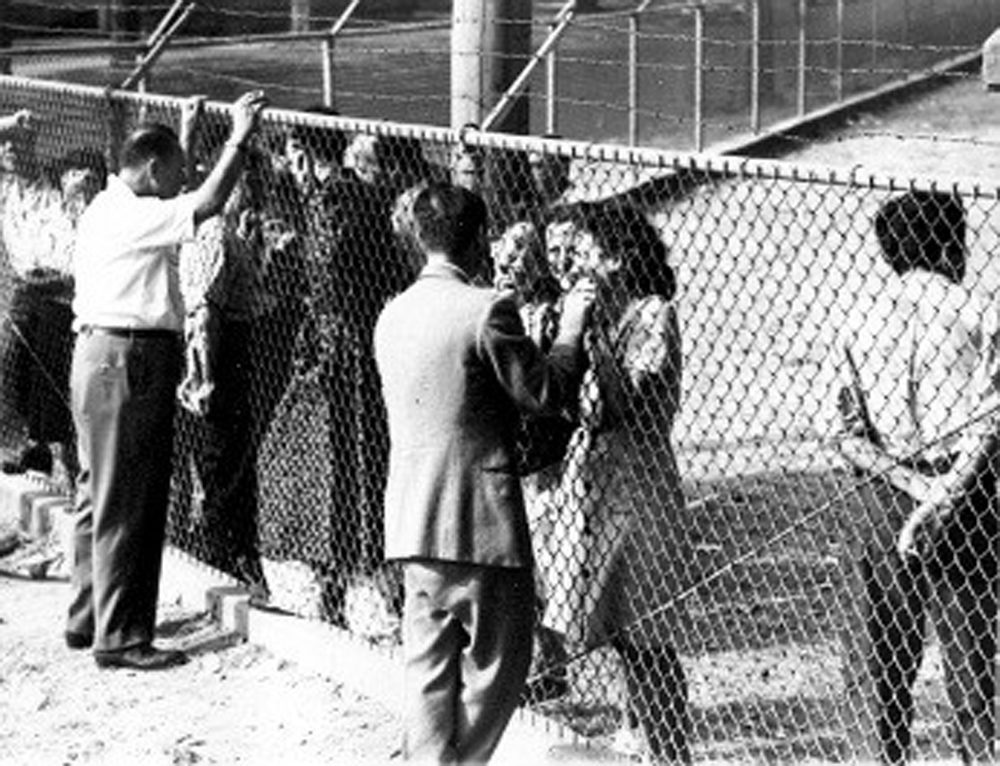 Oswego residents talking to the refugees at Fort Ontario. (Photo courtesy of Beit Hatfutsut Museum/Safe Haven Holocaust Refugee Shelter Museum)
