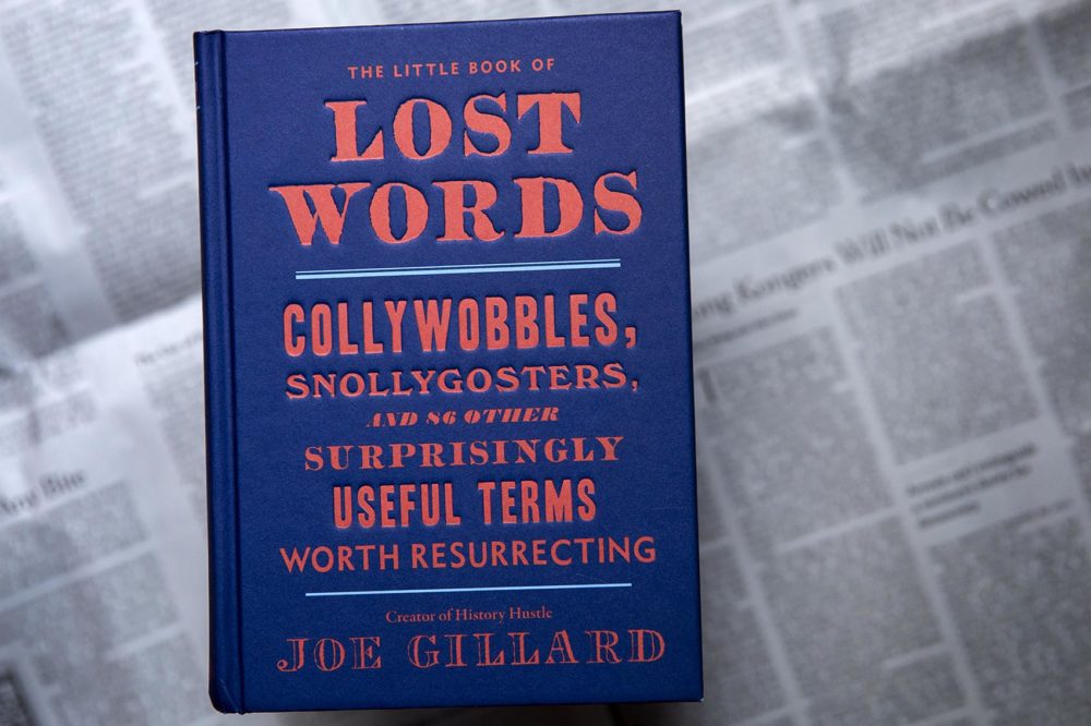 &quot;The Little Book Of Lost Words&quot; by Joe Gillard. (Robin Lubbock/WBUR)
