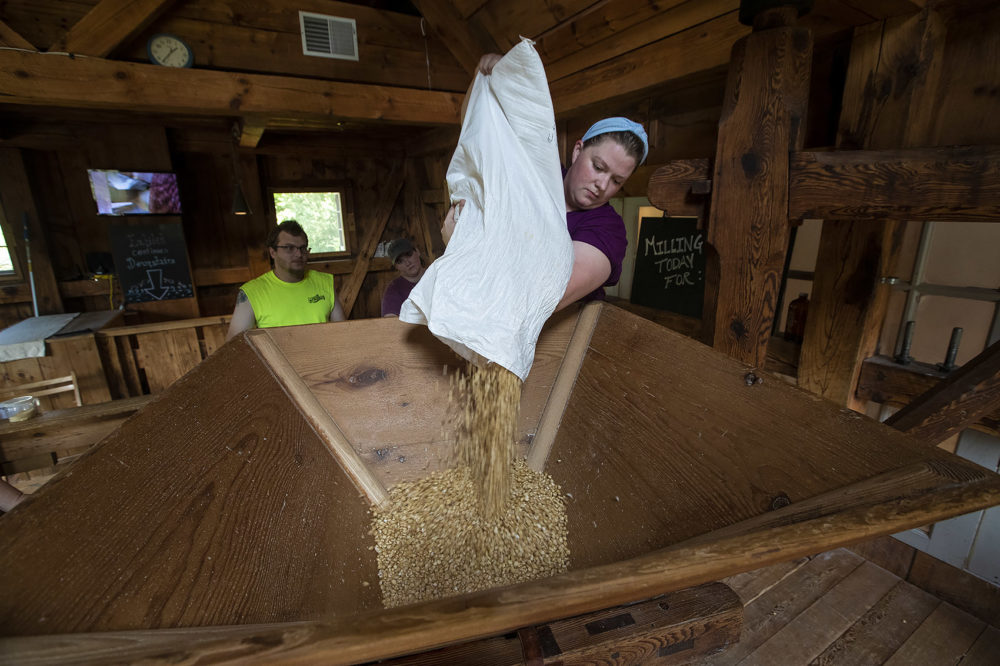 Sydney Tierney pours a 20 lb. bag of white cap flint corn into the hopper of the mill. (Jesse Costa/WBUR)