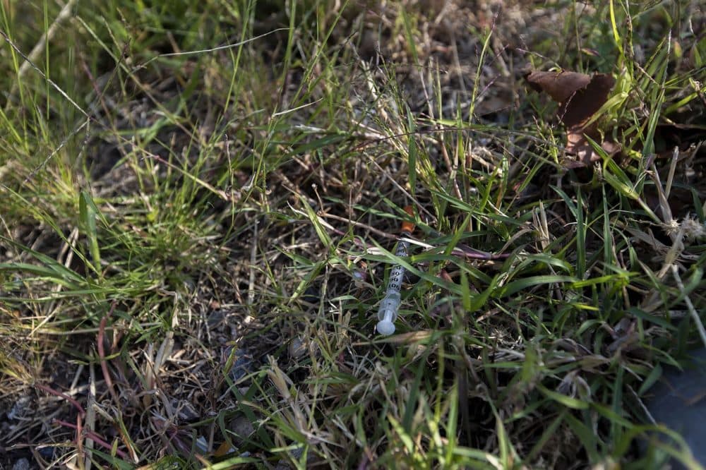 A used syringe is seen in the grass on the side of Bradston Street in Boston. (Jesse Costa/WBUR)