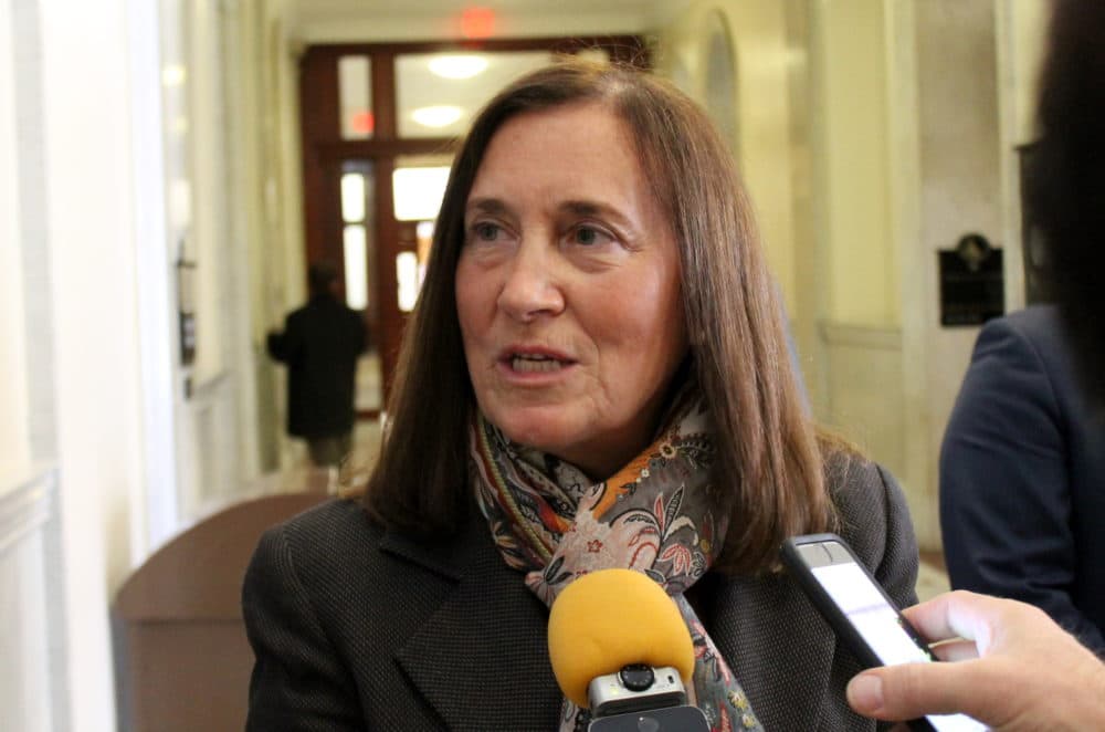 Treasurer Deborah Goldberg has decided against a congressional run. (Sam Doran/SHNS)