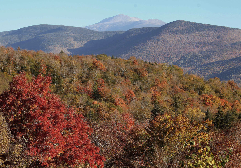 Leaves begin to change color along the Presidential Range in the White Mountain National Forest, visible from Hart's Location, N.H. (Jim Cole/AP)