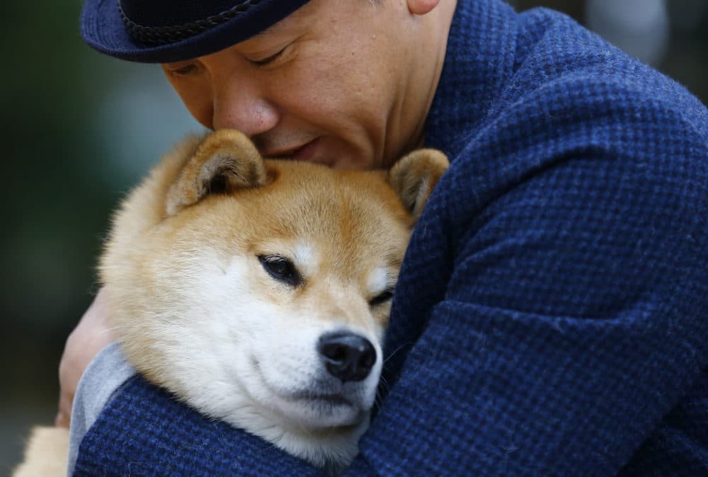 In this Wednesday, Dec. 23, 2015 photo, Shinjiro Ono hugs his Shiba Inu Maru at Ueno Park in Tokyo. New research suggests owning a dog can be beneficial to your health. (Shizuo Kambayashi/AP)
