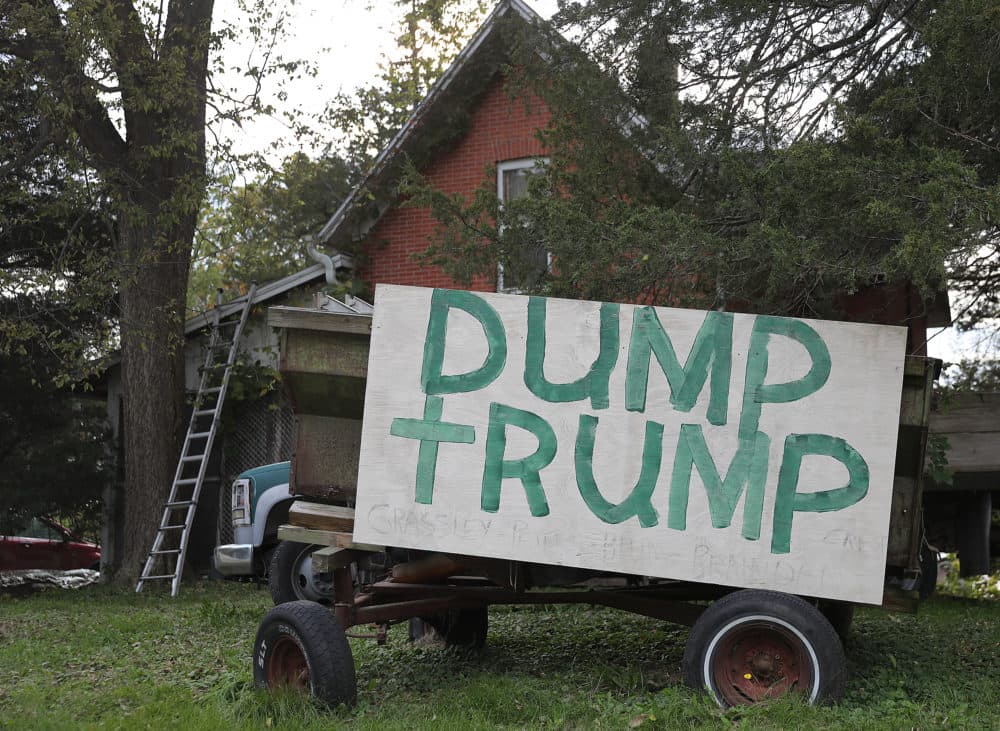 A sign reading &quot;Dump Trump&quot; is seen on the front yard of a home on Oct. 13, 2019, in Iowa. (Joe Raedle/Getty Images)