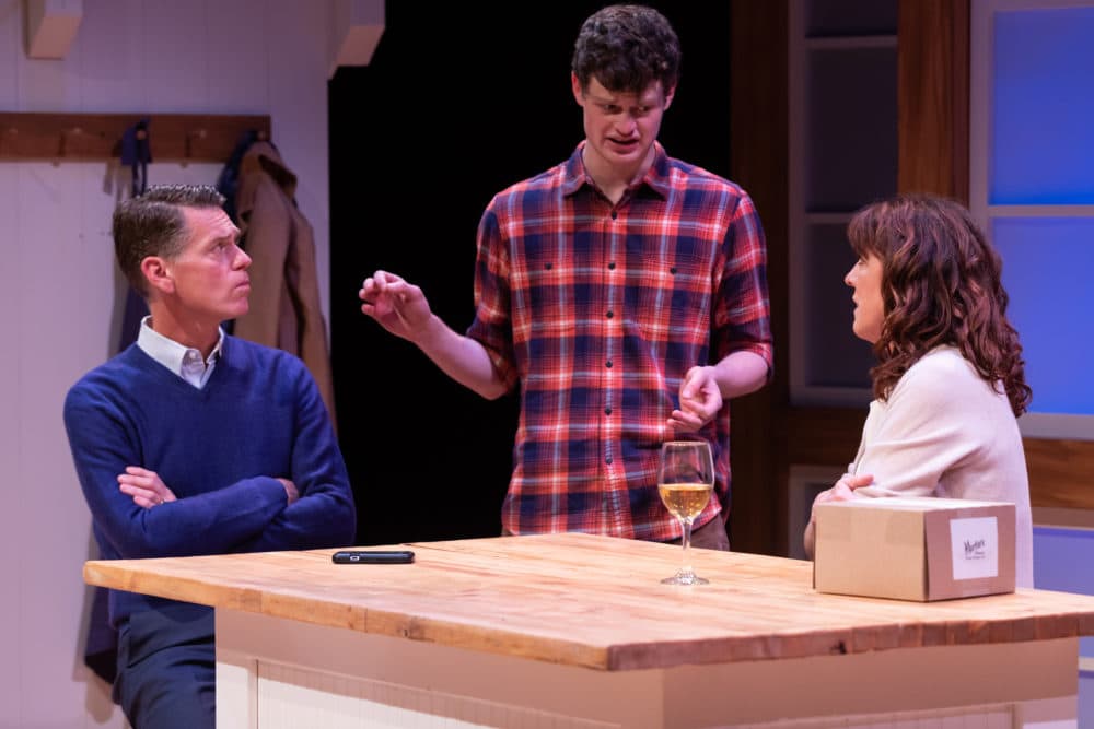 Michael Kaye, Nathan Malin and Maureen Keiller in SpeakEasy Stage's Production of &quot;Admissions.&quot; (Courtesy Maggie Hall Photography)