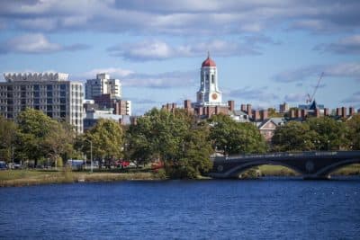 Harvard University as seen from across the Charles River. (Jesse Costa/WBUR)