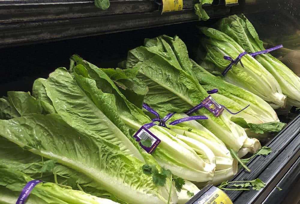 This Nov. 20, 2018 file photo shows romaine lettuce at a store in Simi Valley, Calif. On Friday, Nov. 1, 2019, the U.S. Food and Drug Administration says it learned of an E. coli outbreak in mid-September. (Mark J. Terrill/AP)